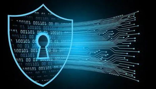 信息時代，維護網絡安全刻不容緩 聚焦網絡與信息安全軟件開發